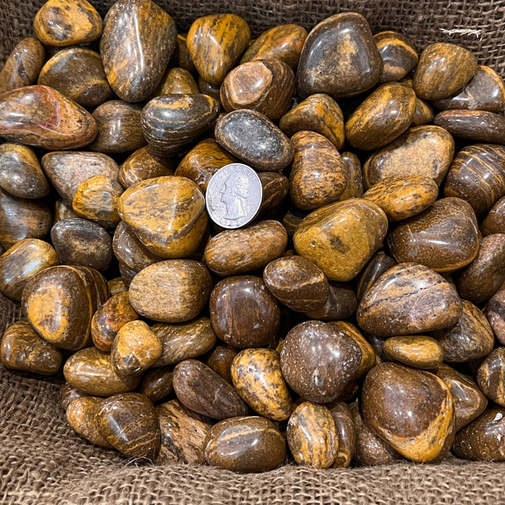 Polished Tiger Jasper - 1/2 LB