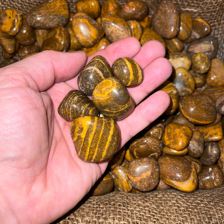 Polished Tiger Jasper - 1/2 LB