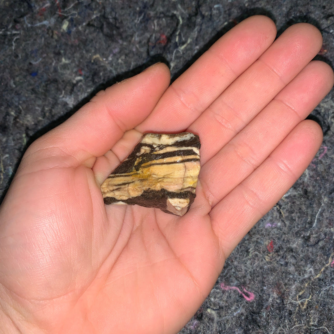 Charged Zebra Jasper Single Stone