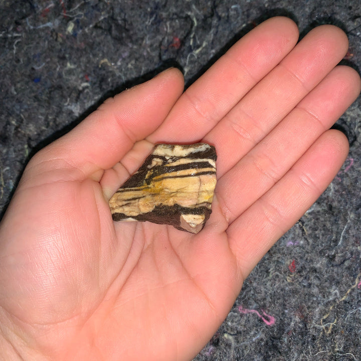 Charged Zebra Jasper Single Stone