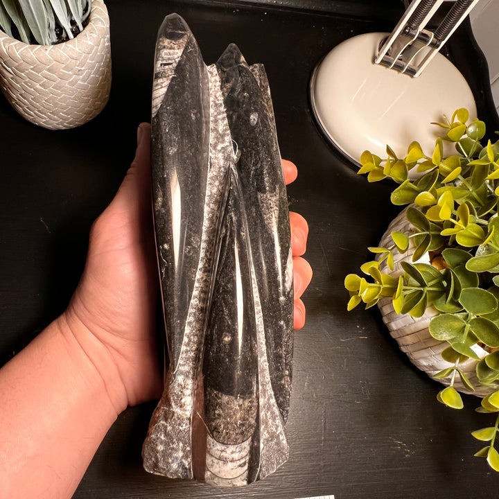 Black Orthoceras Fossil Tower
