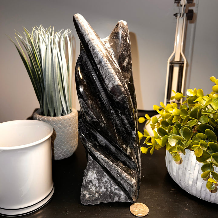 Black Orthoceras Fossil Tower