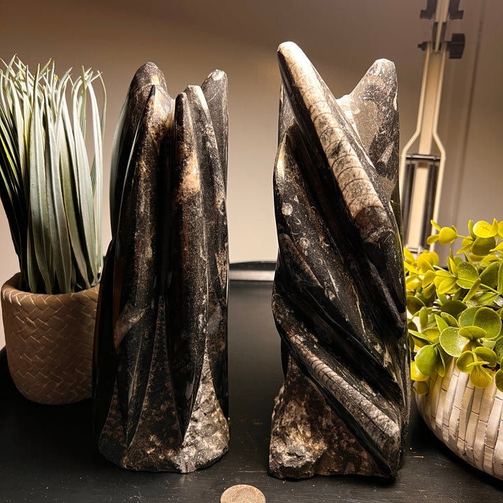 Black Orthoceras Fossil Tower