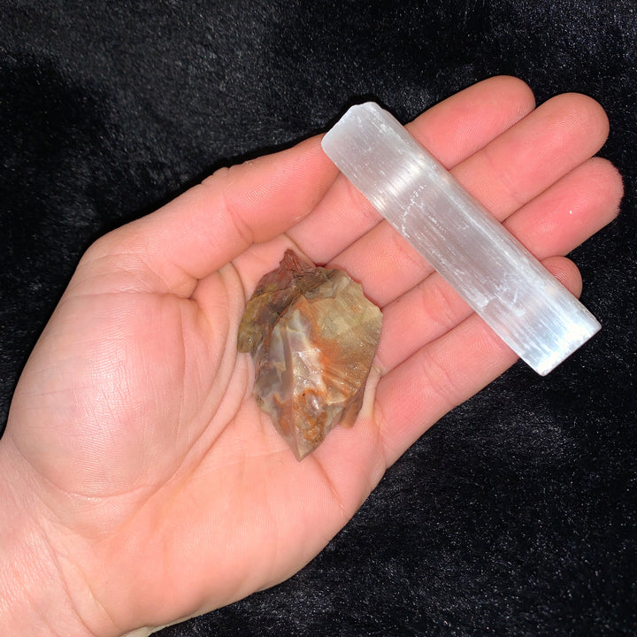 Charged Petrified Wood Single Stone