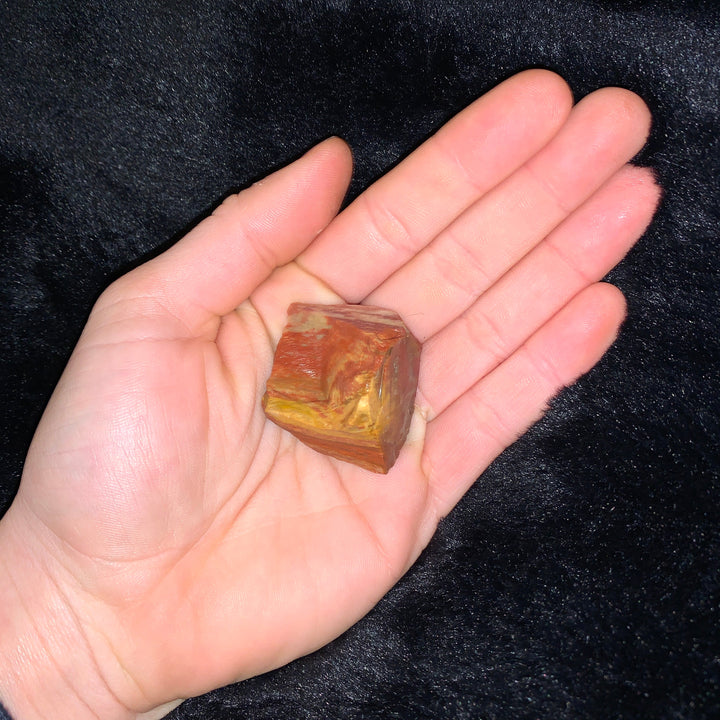 Charged Petrified Wood Single Stone