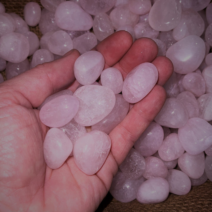 Polished Rose Quartz (LARGE) - 1/2 LB