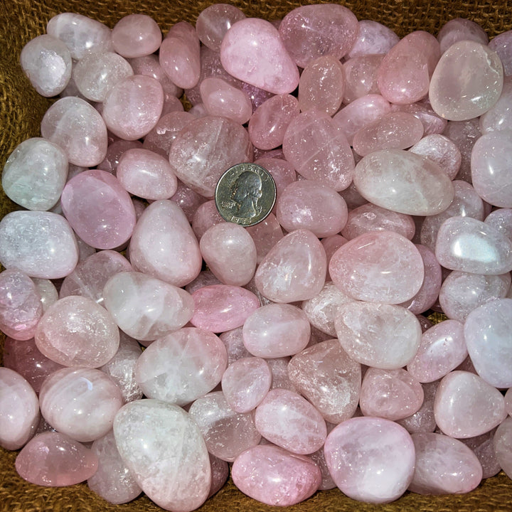 Polished Rose Quartz (LARGE) - 1/2 LB