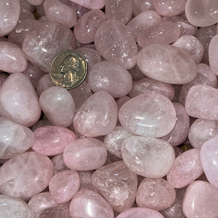 Polished Rose Quartz (LARGE) - 1/2 LB