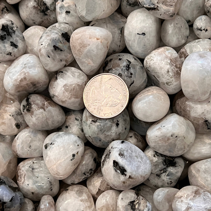 Polished Rainbow Moonstone - 1/2 LB