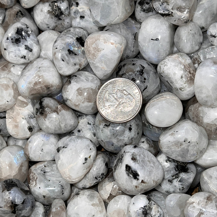 Polished Rainbow Moonstone - 1/2 LB