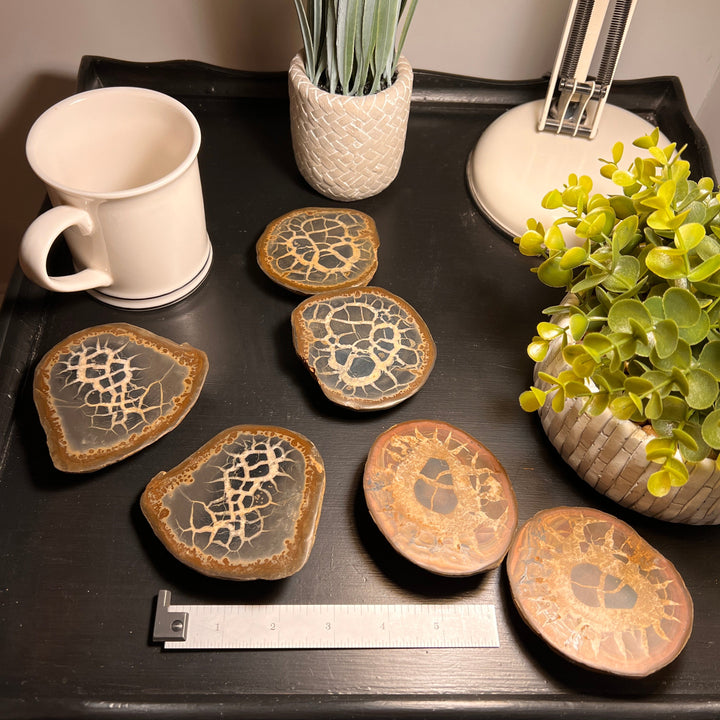 Septarian Nodule Fossil Pairs (LARGE) (2 Halves)