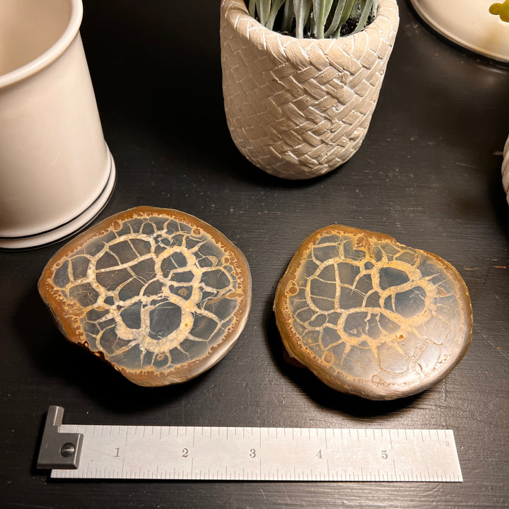 Septarian Nodule Fossil Pairs (LARGE) (2 Halves)