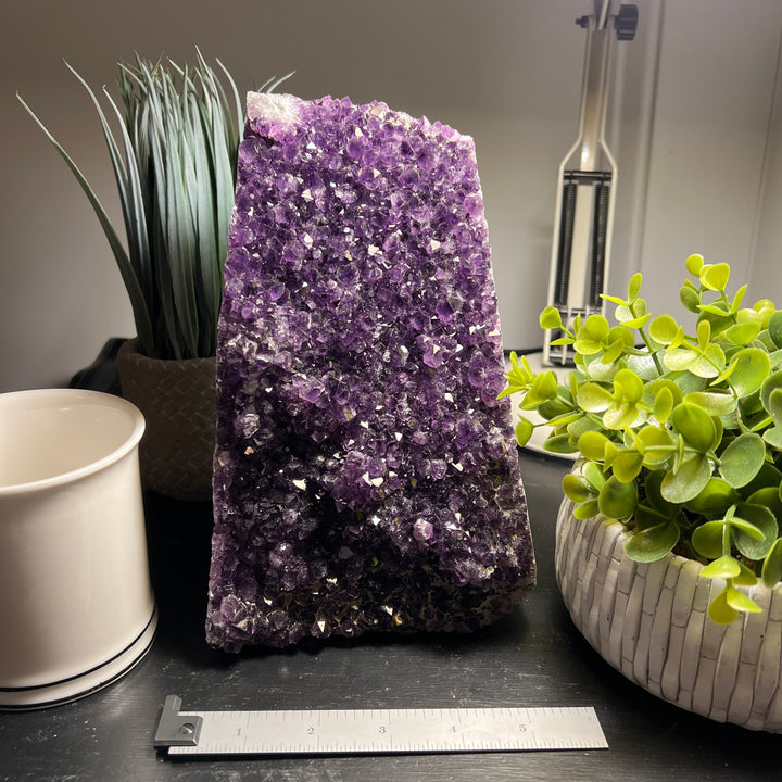 Amethyst Cut Base Size 7 (6 - 8 lbs) Amethyst Druze Geode - Home Decor