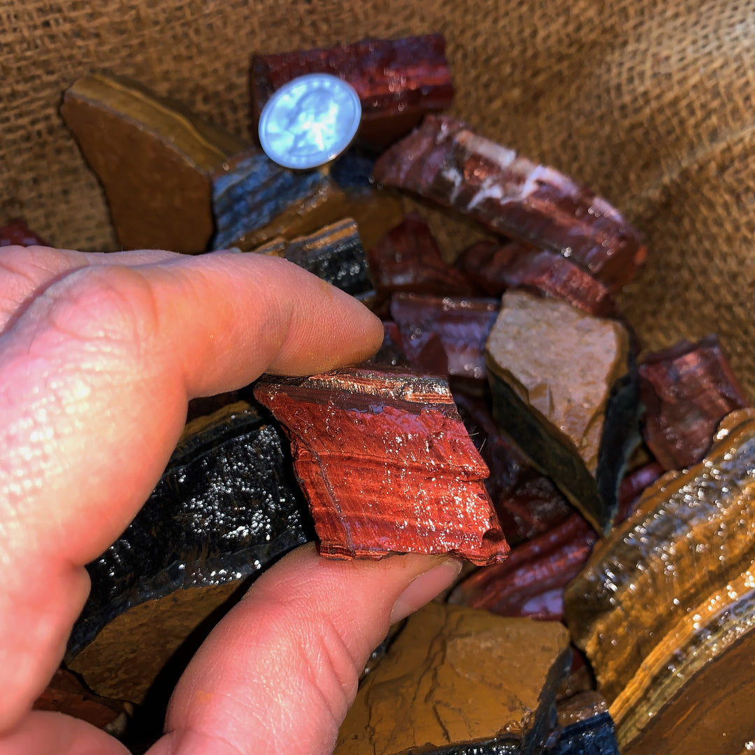 Mixed Tiger Eye Rough (By the Pound)