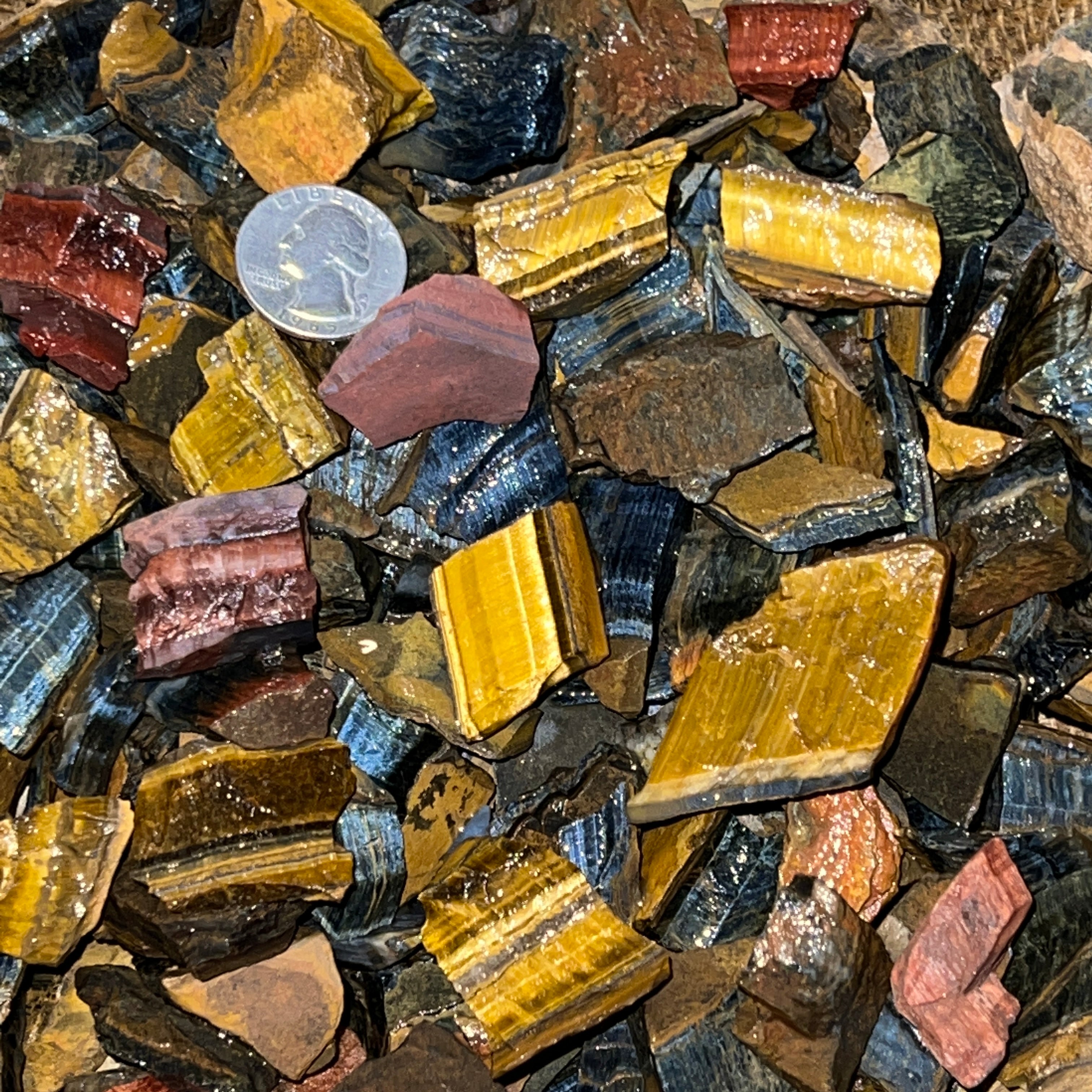 SMALL Mixed Tiger Eye Rough | Mail Order Gems